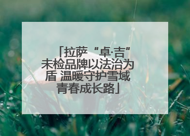 拉萨“卓·吉”未检品牌以法治为盾 温暖守护雪域青春成长路
