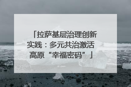拉萨基层治理创新实践：多元共治激活高原“幸福密码”