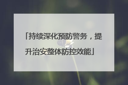 持续深化预防警务，提升治安整体防控效能