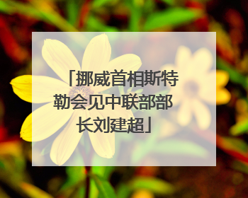 挪威首相斯特勒会见中联部部长刘建超