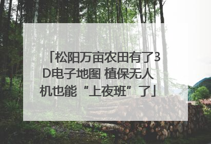 松阳万亩农田有了3D电子地图 植保无人机也能“上夜班”了