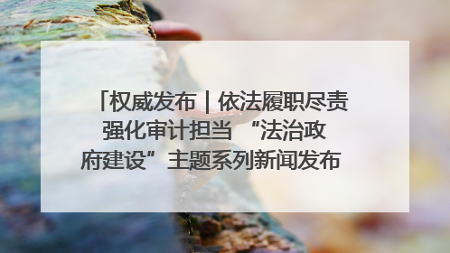 权威发布｜依法履职尽责 强化审计担当 “法治政府建设”主题系列新闻发布会市审计局专场召开