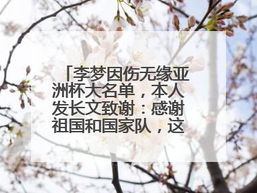 李梦因伤无缘亚洲杯大名单，本人发长文致谢：感谢祖国和国家队，这不是终点