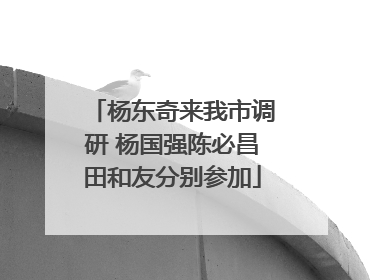 杨东奇来我市调研 杨国强陈必昌田和友分别参加