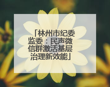 林州市纪委监委：民声微信群激活基层治理新效能