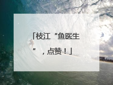 枝江“鱼医生”，点赞！