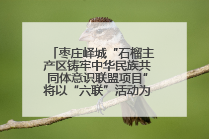 枣庄峄城“石榴主产区铸牢中华民族共同体意识联盟项目”将以“六联”活动为抓手深化品牌建设
