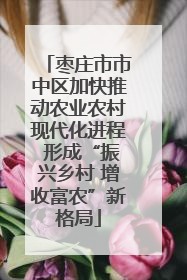 枣庄市市中区加快推动农业农村现代化进程 形成“振兴乡村 增收富农”新格局