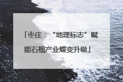 枣庄：“地理标志”赋能石榴产业蝶变升级