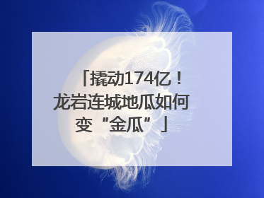 撬动174亿！龙岩连城地瓜如何变“金瓜”