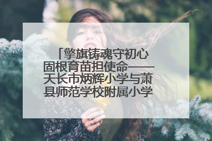 擎旗铸魂守初心 固根育苗担使命——天长市炳辉小学与萧县师范学校附属小学结对共建活动纪实