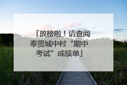 放榜啦！请查阅奉贤城中村“期中考试”成绩单