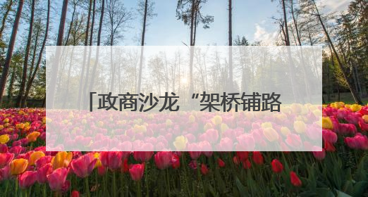 政商沙龙“架桥铺路” 中小企业享受政府采购 “及时雨”