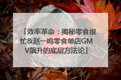 效率革命：揭秘零食很忙&赵一鸣零食单店GMV飙升的底层方法论