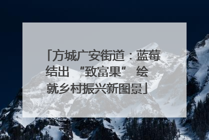 方城广安街道：蓝莓结出 “致富果” 绘就乡村振兴新图景