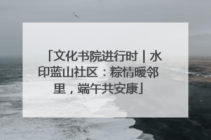 文化书院进行时｜水印蓝山社区：粽情暖邻里，端午共安康