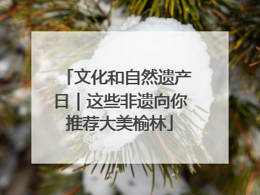 文化和自然遗产日｜这些非遗向你推荐大美榆林