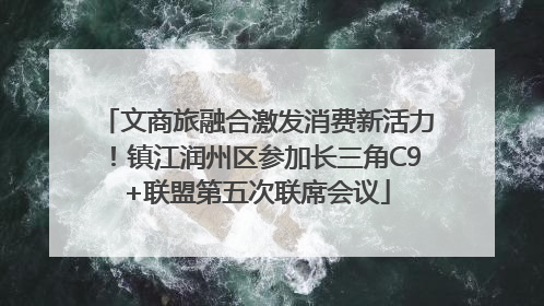 文商旅融合激发消费新活力！镇江润州区参加长三角C9+联盟第五次联席会议