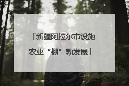 新疆阿拉尔市设施农业“棚”勃发展