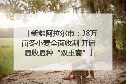 新疆阿拉尔市：38万亩冬小麦全面收割 开启夏收夏种“双重奏”