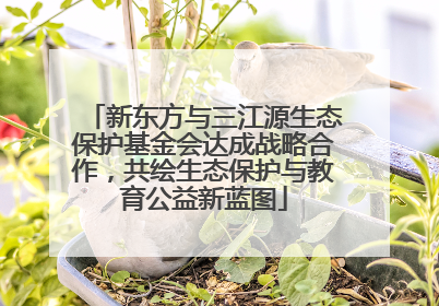 新东方与三江源生态保护基金会达成战略合作，共绘生态保护与教育公益新蓝图