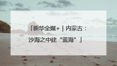 新华全媒+｜内蒙古：沙海之中建“蓝海”
