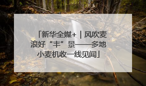 新华全媒+｜风吹麦浪好“丰”景——多地小麦机收一线见闻