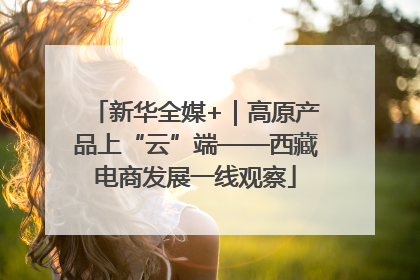新华全媒+｜高原产品上“云”端——西藏电商发展一线观察