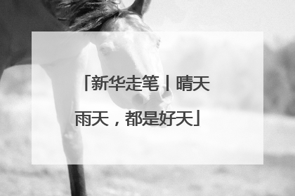 新华走笔丨晴天雨天，都是好天