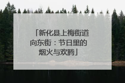 新化县上梅街道向东街：节日里的烟火与欢腾