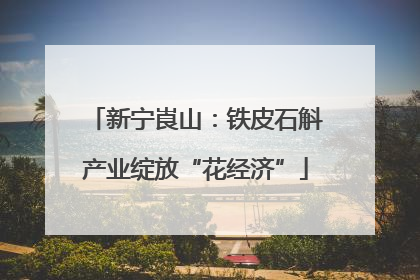 新宁崀山：铁皮石斛产业绽放“花经济”