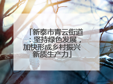 新泰市青云街道：坚持绿色发展，加快形成乡村振兴新质生产力