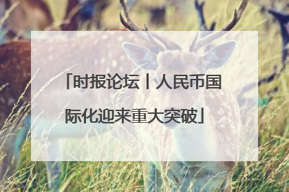 时报论坛丨人民币国际化迎来重大突破