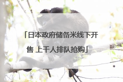 日本政府储备米线下开售 上千人排队抢购
