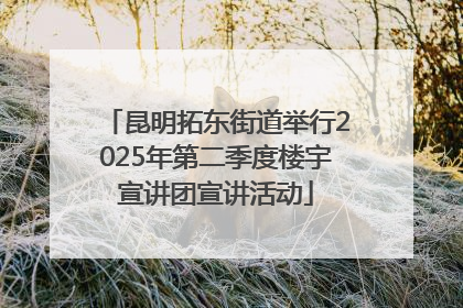 昆明拓东街道举行2025年第二季度楼宇宣讲团宣讲活动