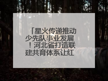 星火传递推动少先队事业发展！河北省打造联建共育体系让红领巾更鲜艳