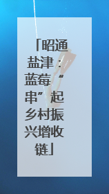 昭通盐津：蓝莓“串”起乡村振兴增收链