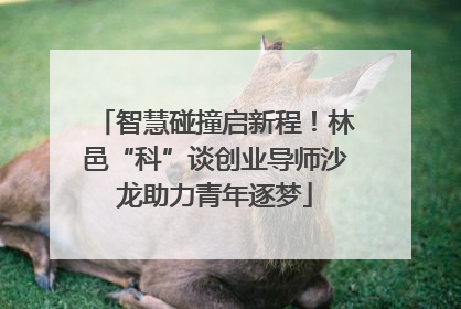 智慧碰撞启新程！林邑“科”谈创业导师沙龙助力青年逐梦