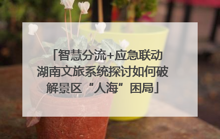 智慧分流+应急联动 湖南文旅系统探讨如何破解景区“人海”困局