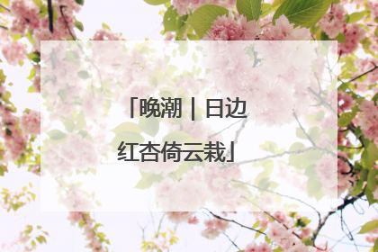 晚潮｜日边红杏倚云栽