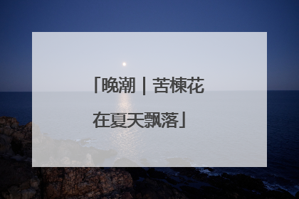 晚潮｜苦楝花在夏天飘落