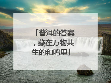 普洱的答案，藏在万物共生的和鸣里