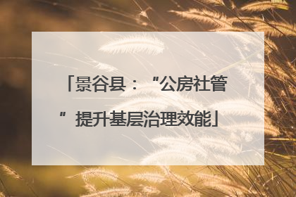 景谷县：“公房社管”提升基层治理效能