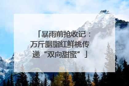 暴雨前抢收记：万斤胭脂红鲜桃传递“双向甜蜜”