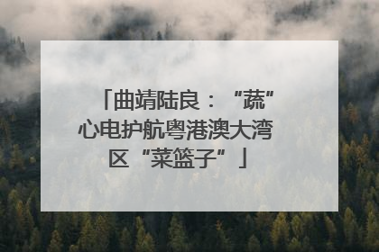曲靖陆良：“蔬”心电护航粤港澳大湾区“菜篮子”