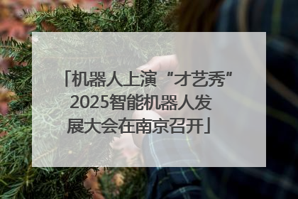 机器人上演“才艺秀” 2025智能机器人发展大会在南京召开