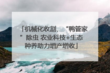 机械化收割、“鸭管家”除虫 农业科技+生态种养助力增产增收