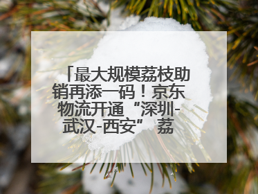 最大规模荔枝助销再添一码！京东物流开通“深圳-武汉-西安” 荔枝全货机航线