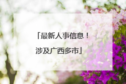 最新人事信息！涉及广西多市