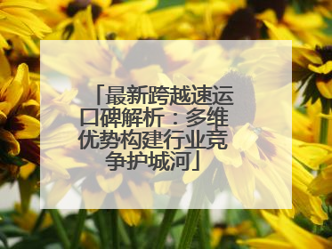 最新跨越速运口碑解析：多维优势构建行业竞争护城河